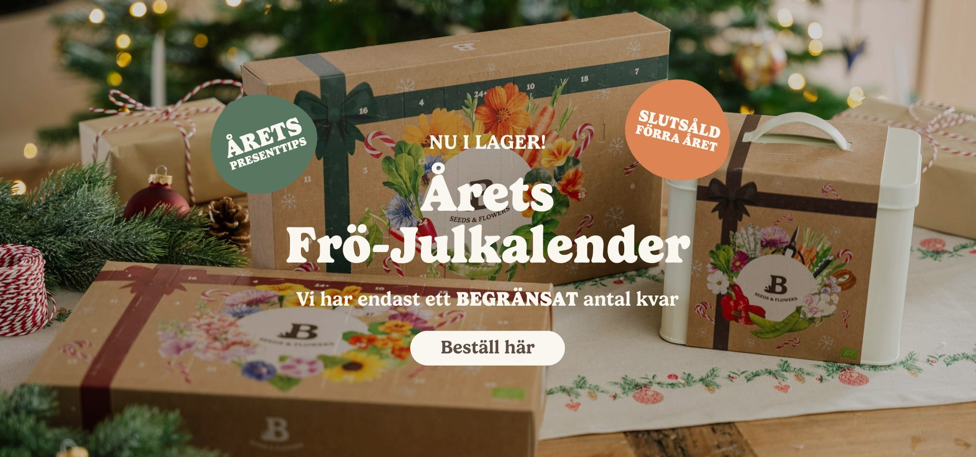 slider image slider_item_Qb7Ldp