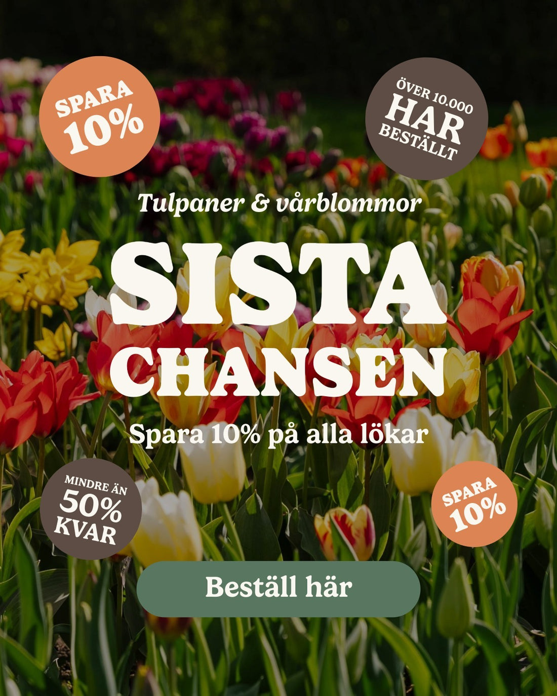 slider image slider_item_dB89Tf