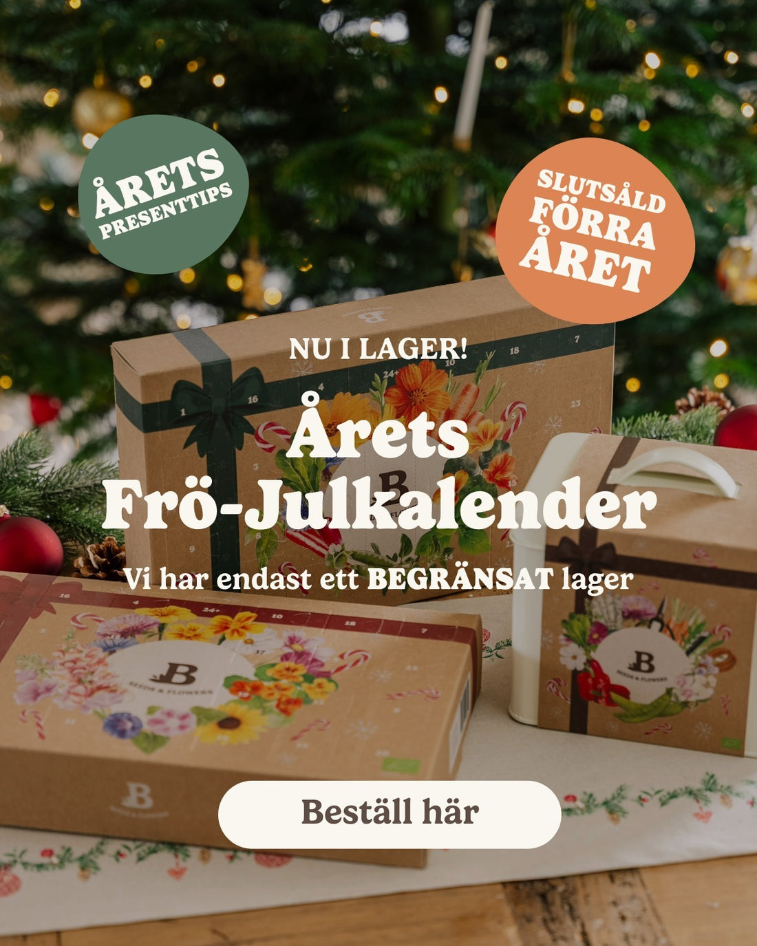slider image slider_item_Qb7Ldp