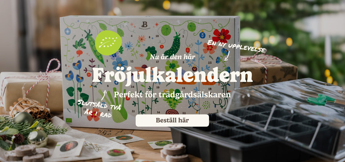 slider image slider_item_bahetq