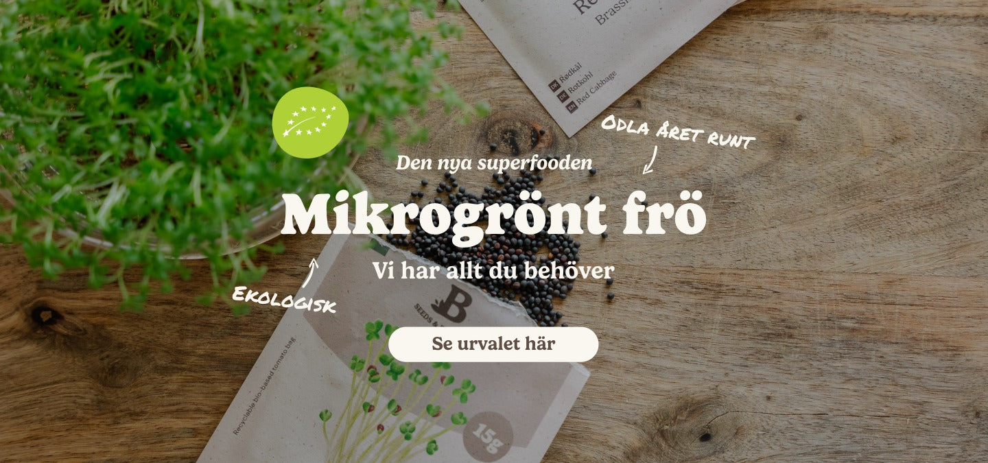 slider image slider_item_dB89Tf