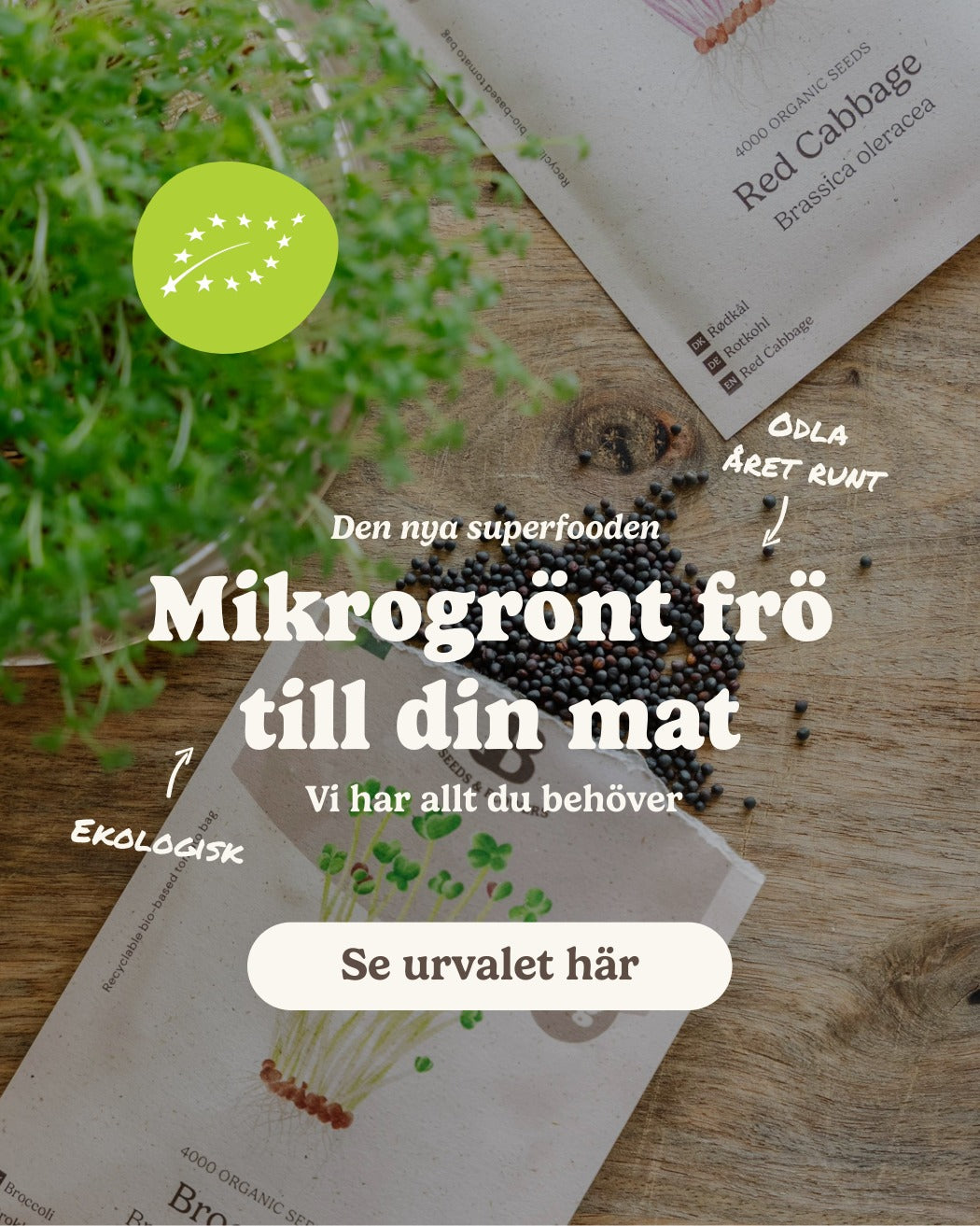 slider image slider_item_dB89Tf