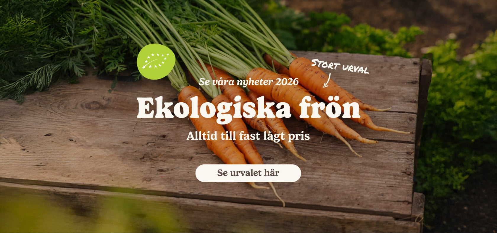 slider image slider_item_Qb7Ldp