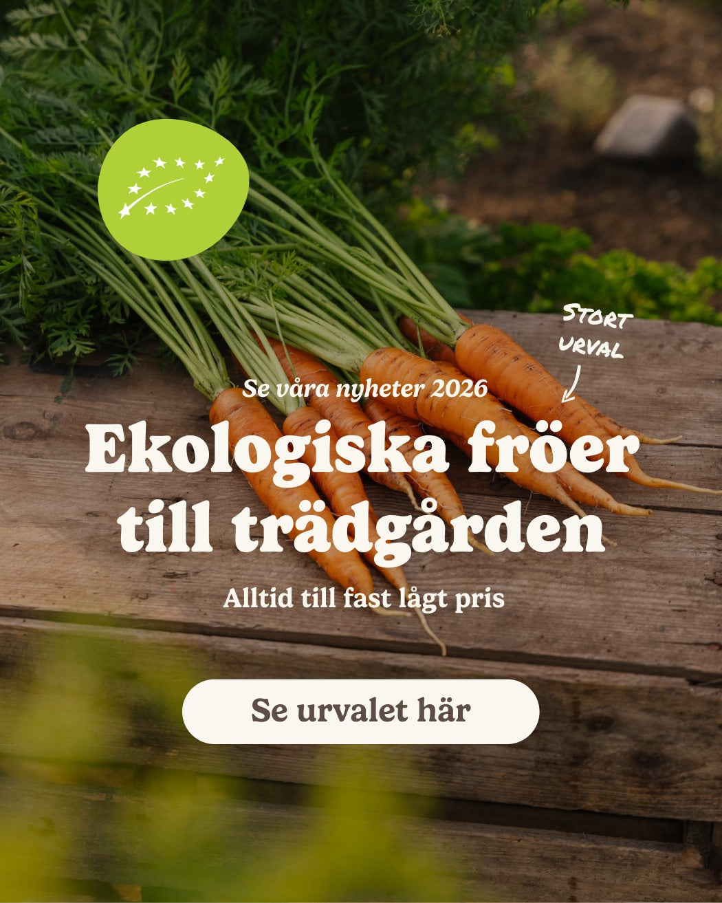 slider image slider_item_Qb7Ldp