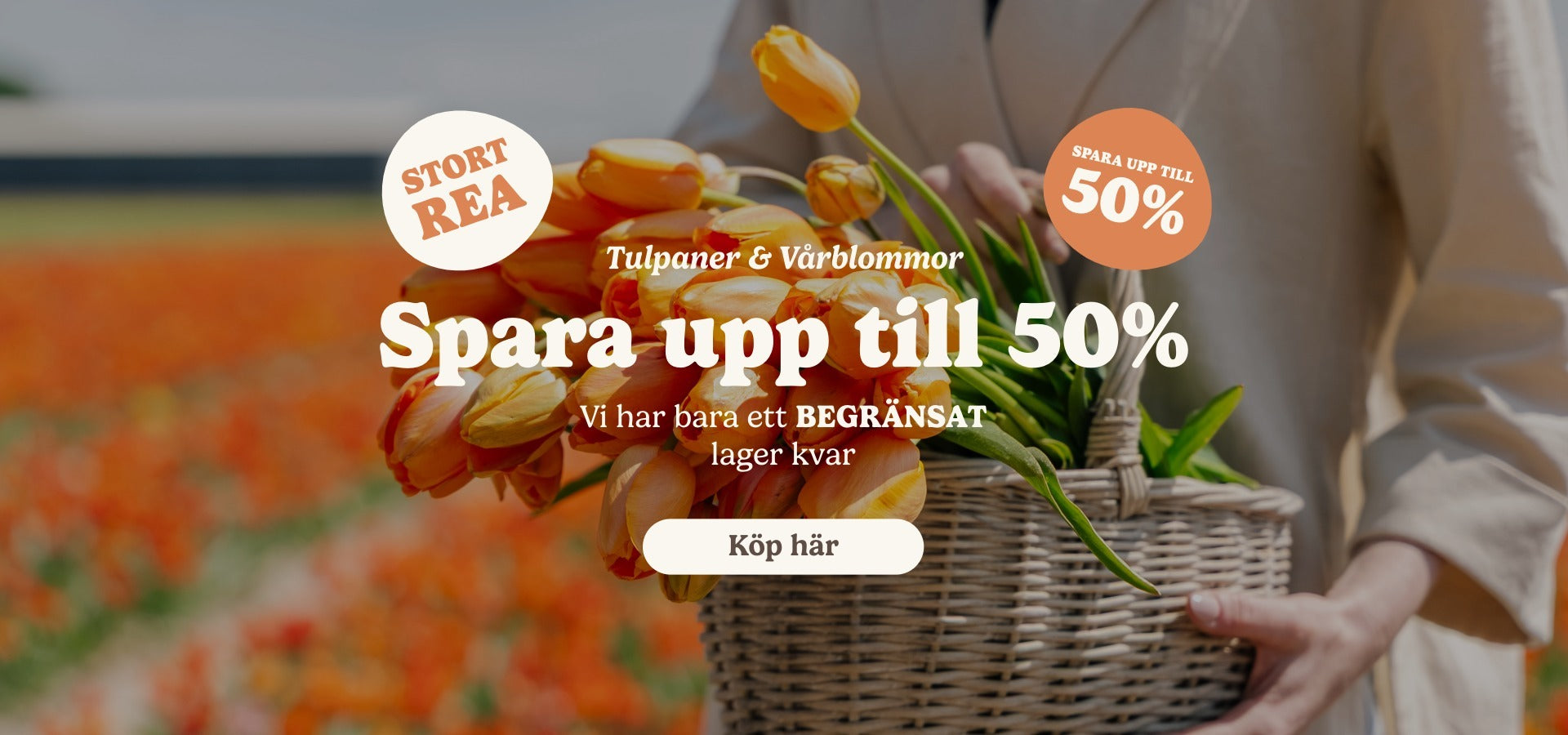 slider image slider_item_dB89Tf