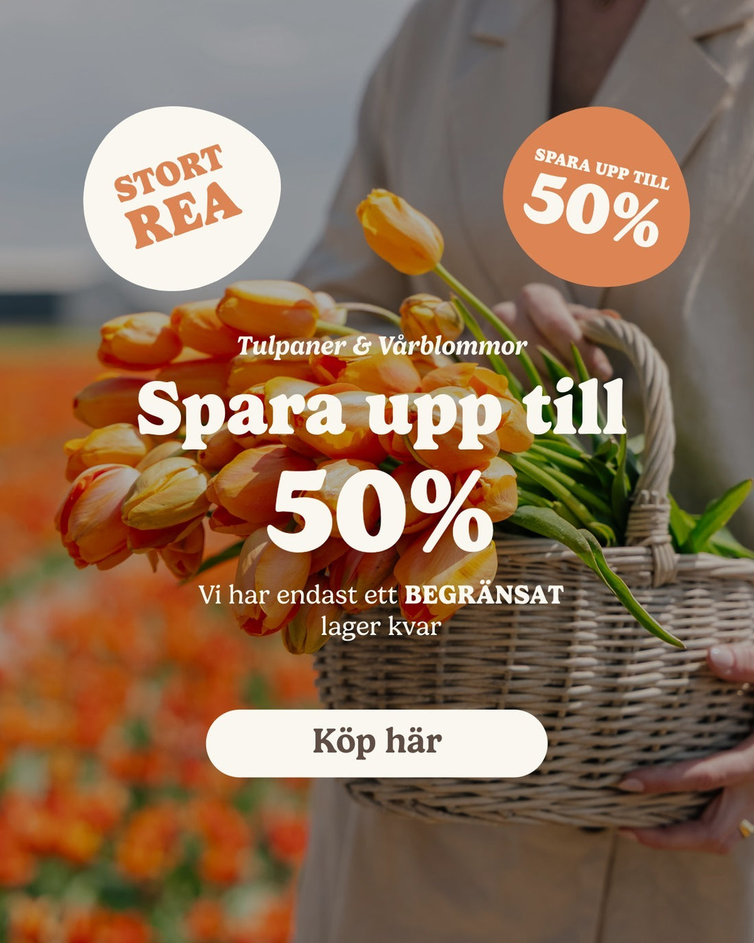 slider image slider_item_dB89Tf