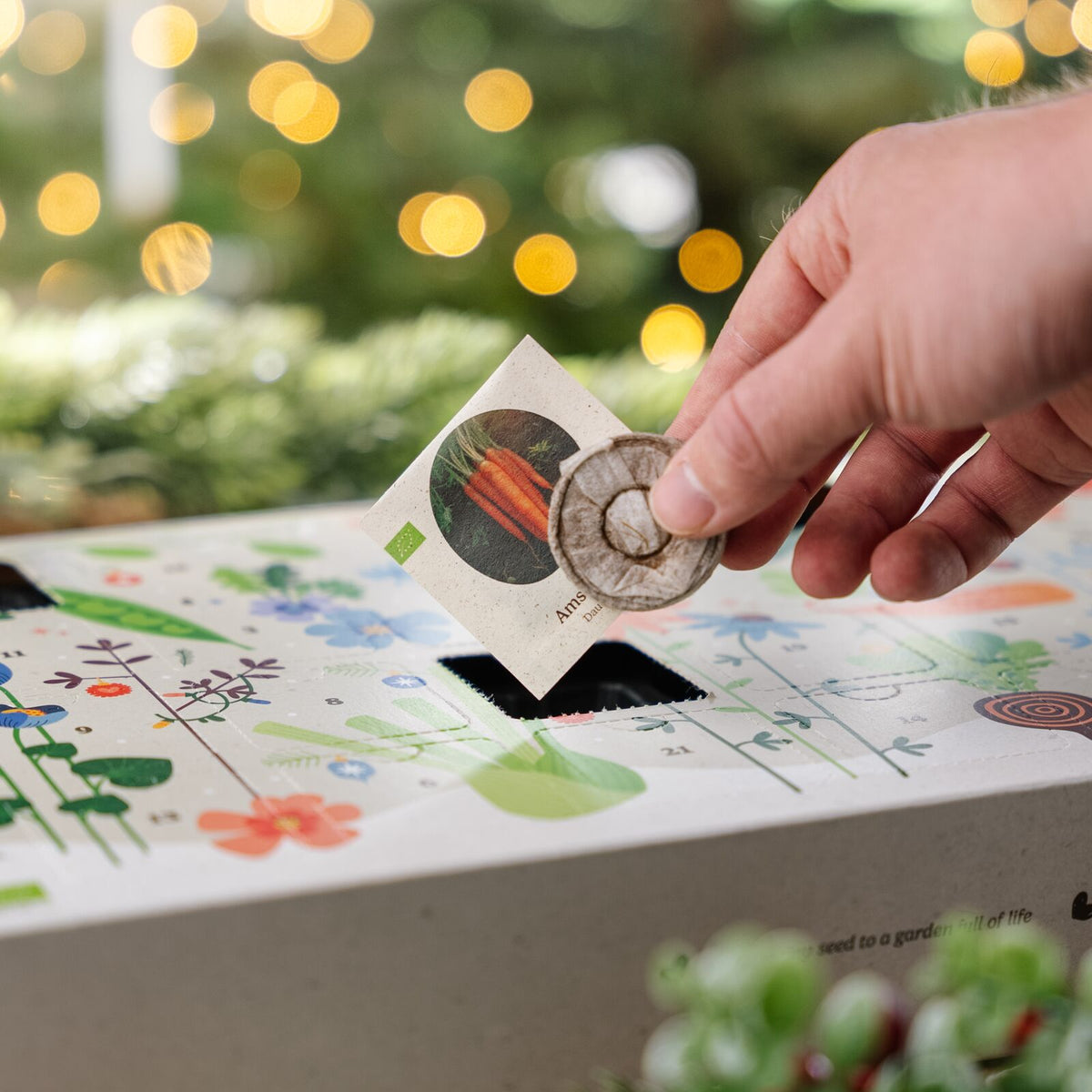 Årets Frö Julkalender