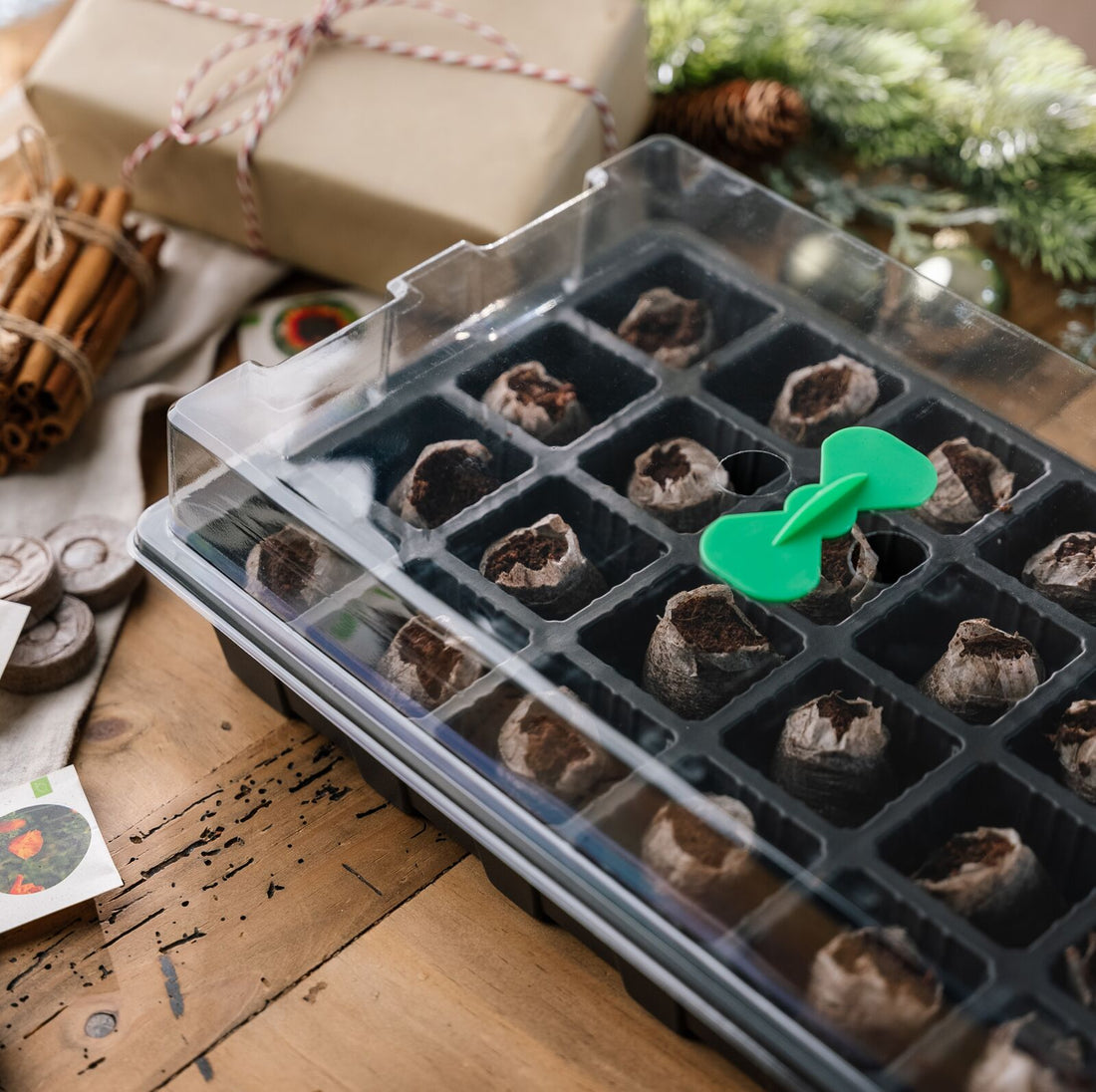 Årets Frö Julkalender