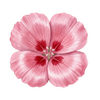 Blomfröer
