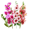 Blomfröer
