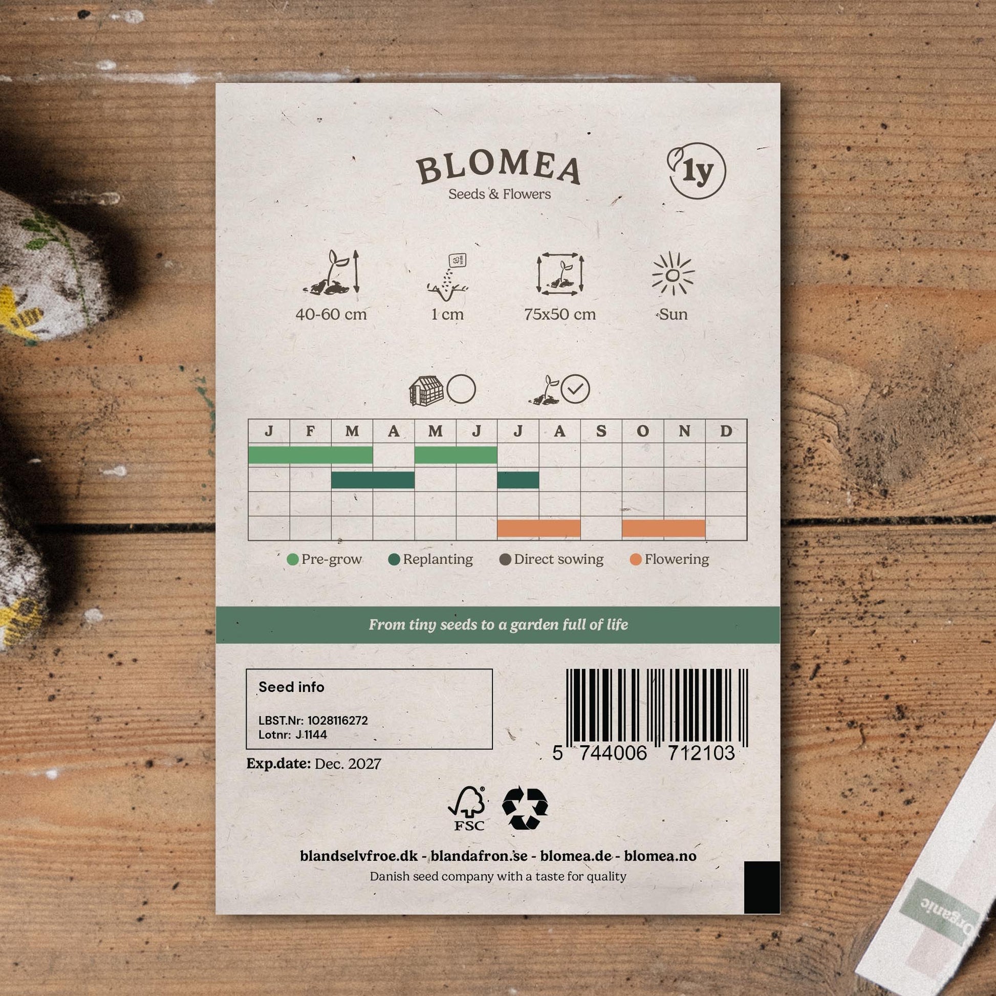 Blomkålsfrø 'Tabiro' - 40 Økologiske Frø