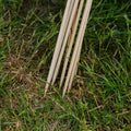 Blompinnar. H60 cm 10 st./bunt.
