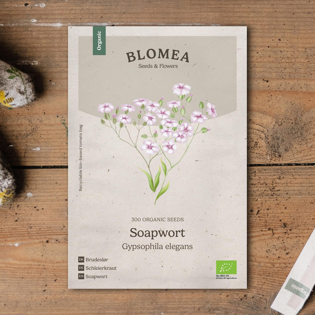 Brudeslør frø 'Soapwort' - 300 Økologiske Frø