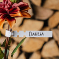 Dahlia Etiketter 10 st.