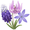 Vårblommor