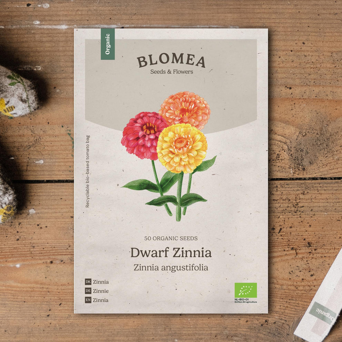 Dvärg zinnia frö frö - 50 Ekologiska Frö