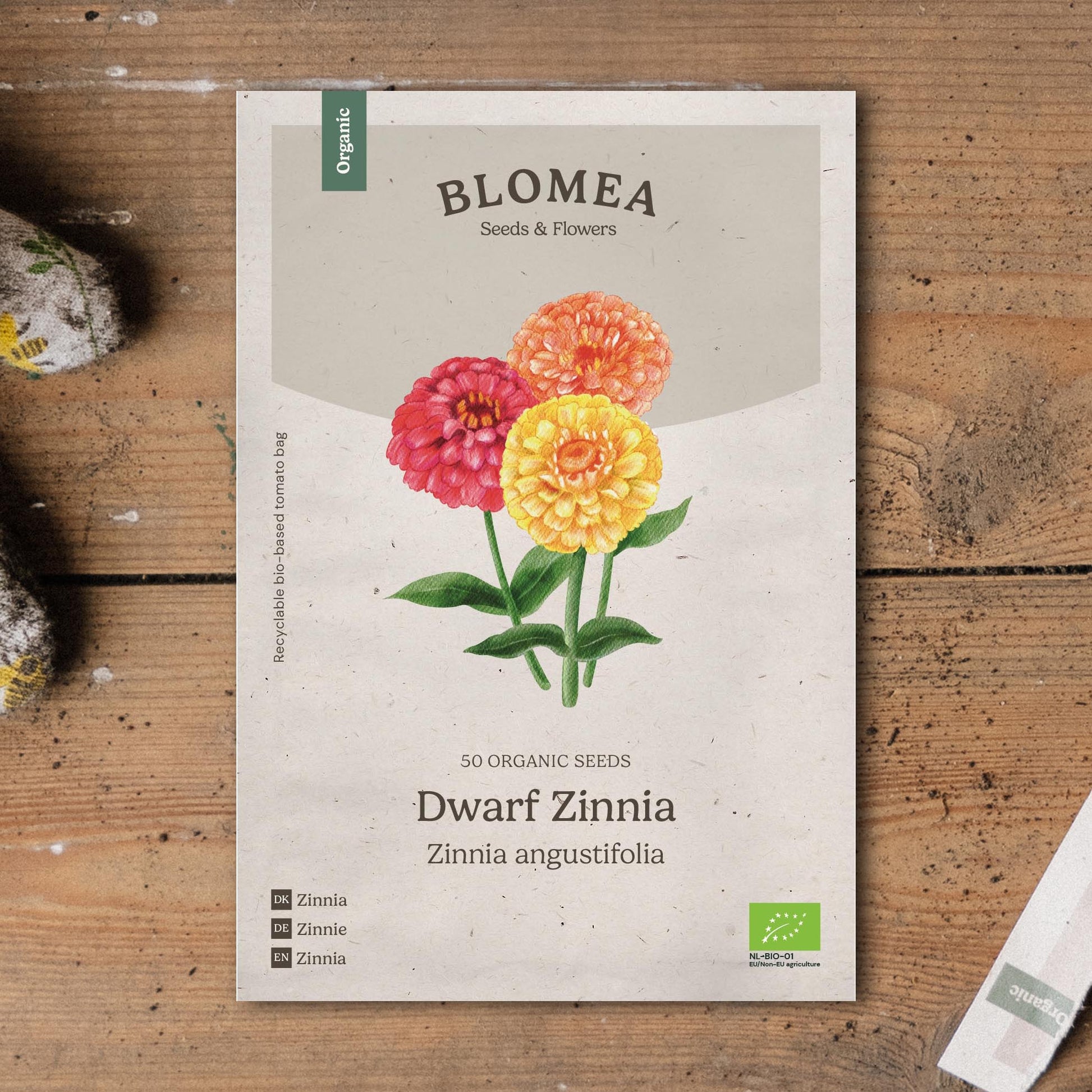 Dvärg zinnia frö frö - 50 Ekologiska Frö
