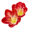 Sommarblommor