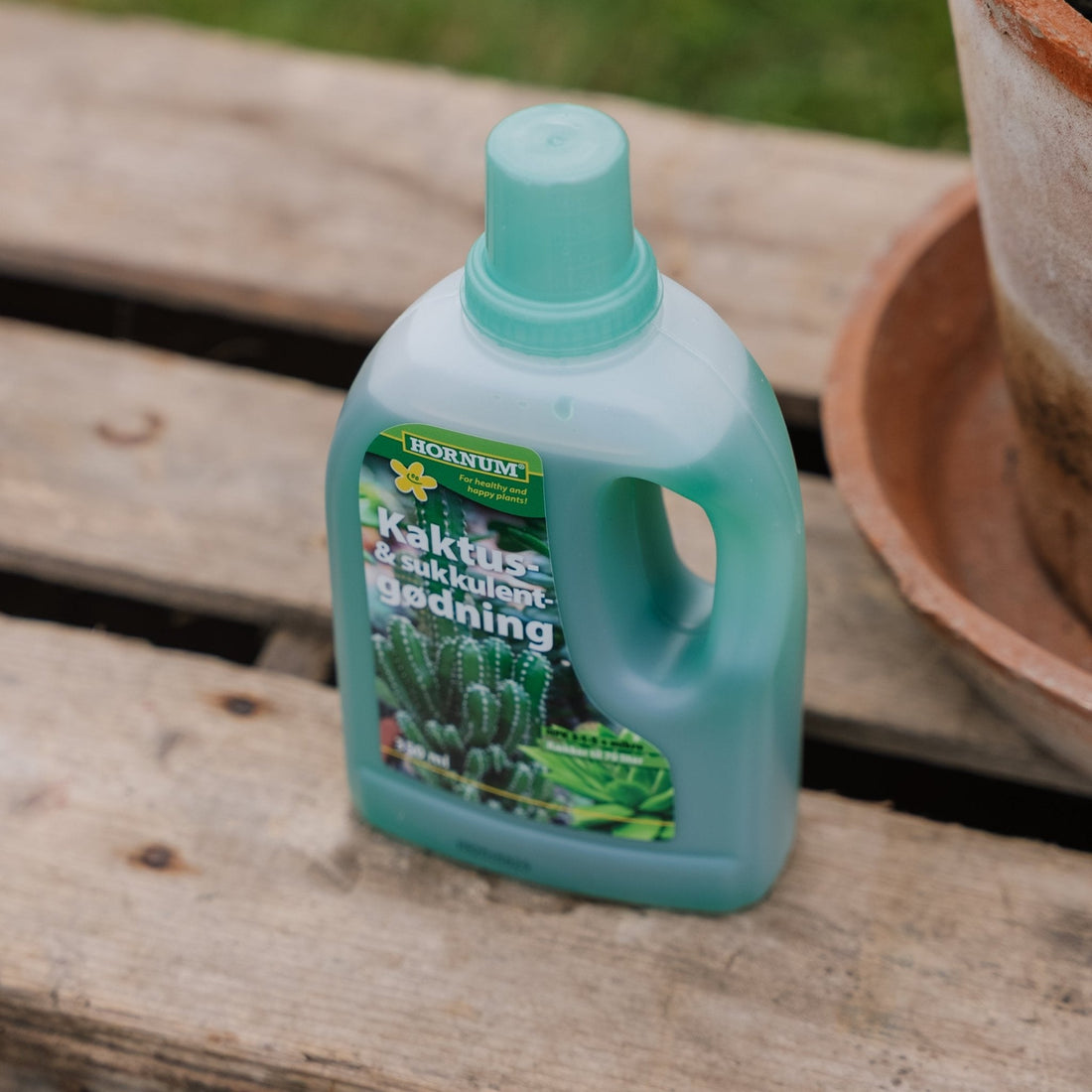 Gødning Kaktus - & Sukkulent 350 ml.