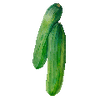 Grönsaksfröer