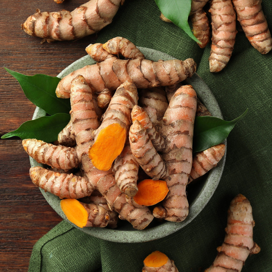 Gurkmeja, Curcuma Longa