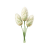 Blomfröer