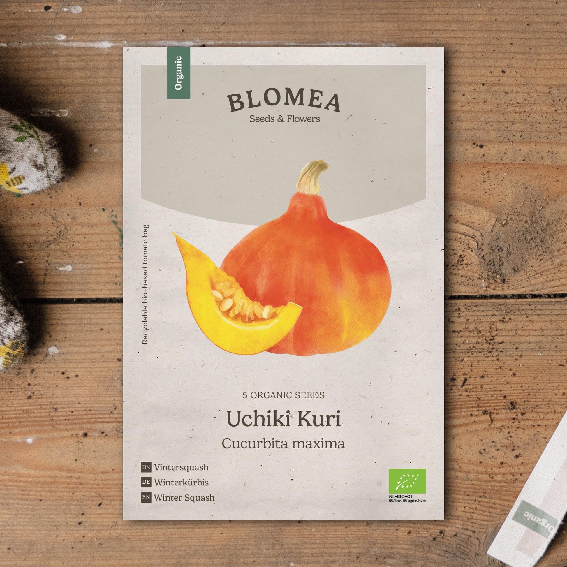 Hubbardpumpa frö 'Uchiki Kuri' - 5 Ekologiska Frö