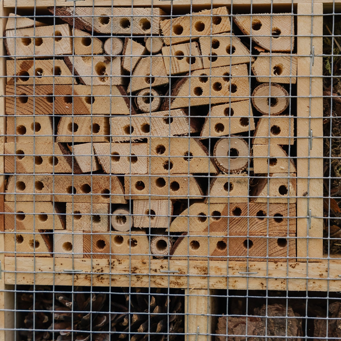Insekthotel, natur