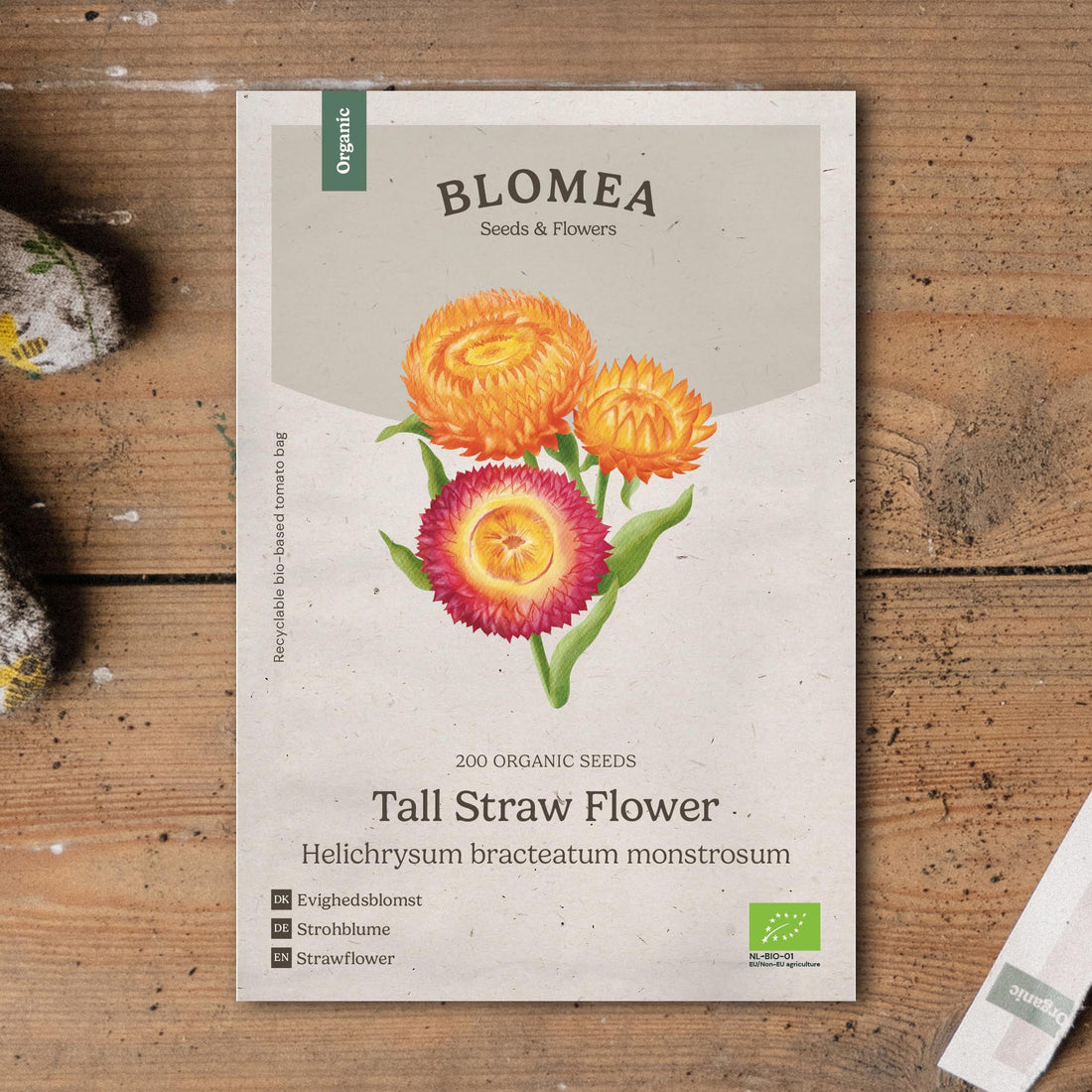Jätteeternell frö 'Tall Straw Flower' - 200 Ekologiska Frön