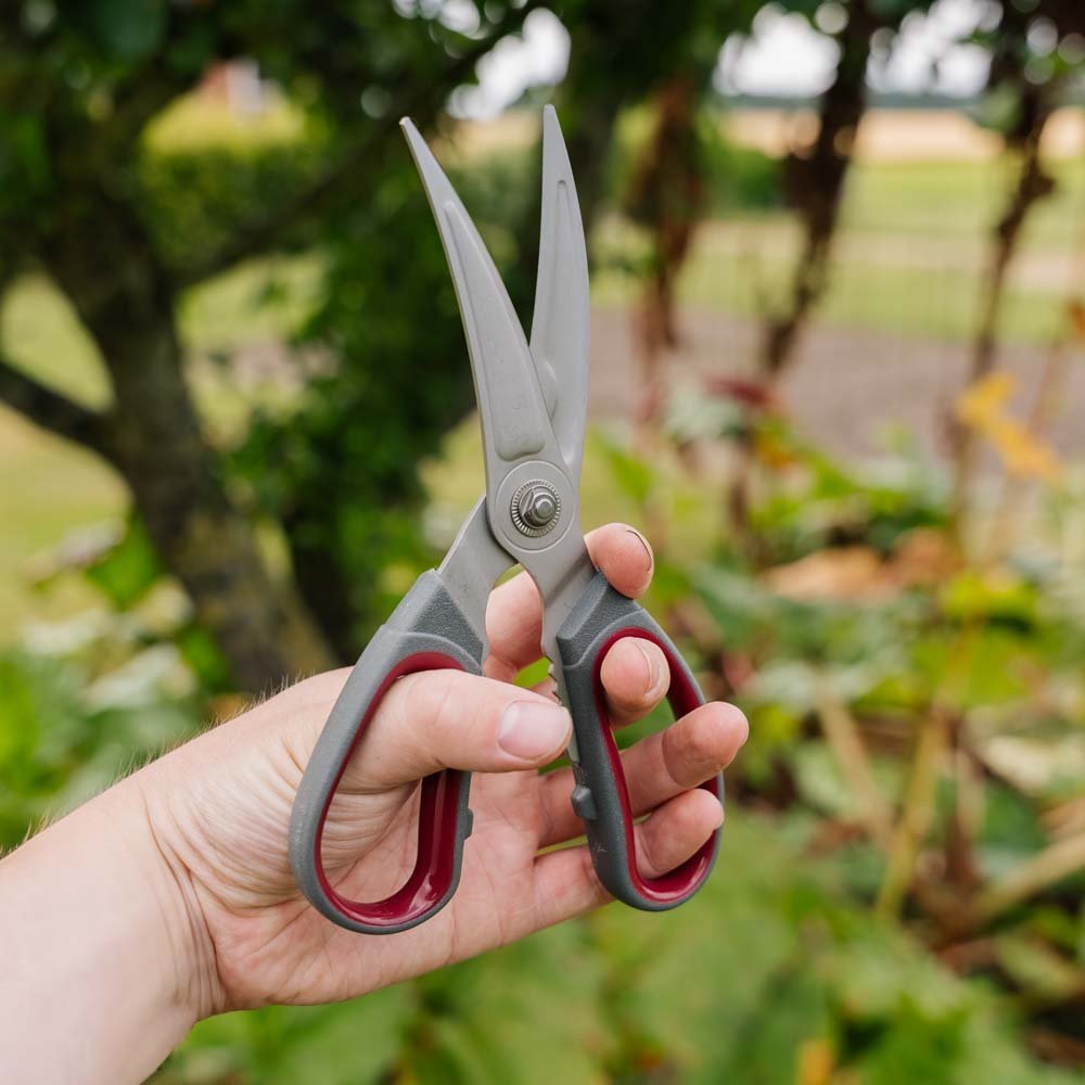 Kökssax