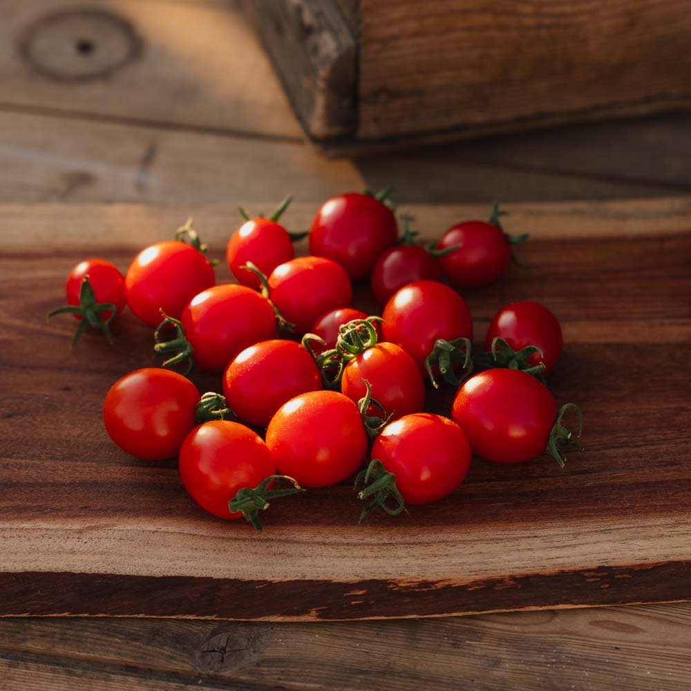 Körsbärstomater frön 'Bartelly F1' - 5 Ekologiska Frön