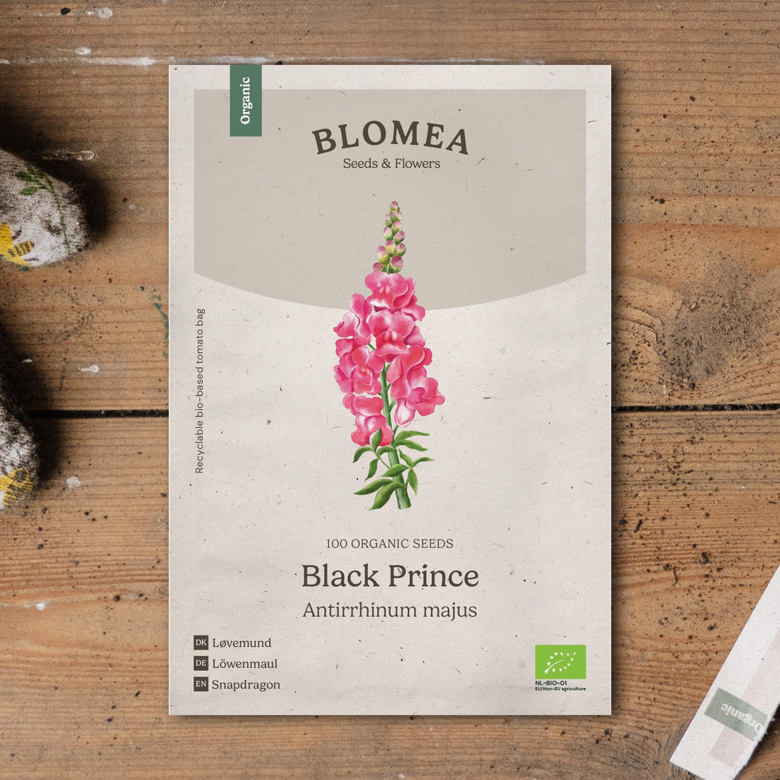 Lejongap frö 'Black Prince' - 100 Ekologiska Frö