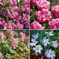 Løglasagne 'Confetti Garden'
