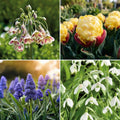 Løglasagne 'Kitchen Garden'