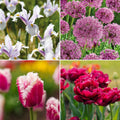 Löklasagne ‘Spring Sorbet’