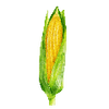 Grönsaksfröer