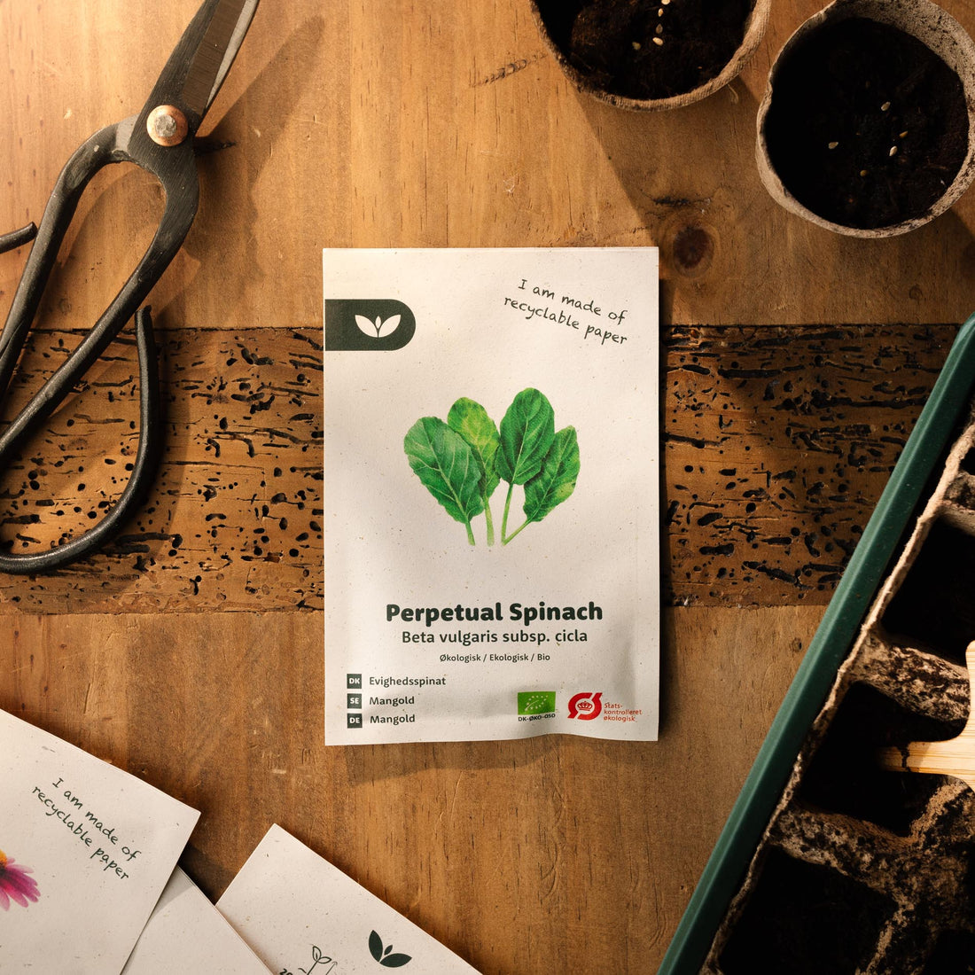 Mangold 'Perpetual Spinach' - 50 Ekologiska Frön