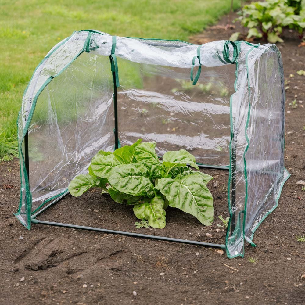 Mellanstor frökupol, L: 92 cm B: 90 cm H: 72 cm