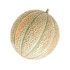 Grönsaksfrön