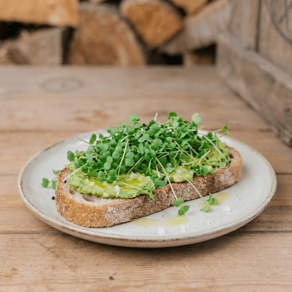 Mikrogrønt frø 'Broccoli' - 4000 Økologiske frø