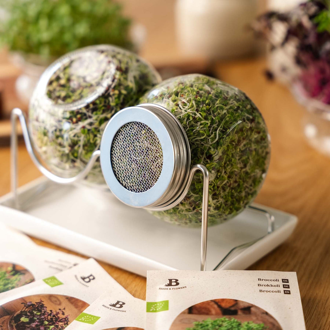 Mikrogröntlådan med groddglas - 5 påsar ekologiska frön