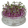 Tillbehör