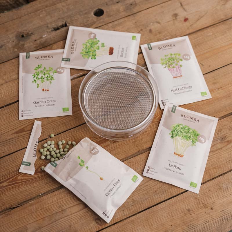 Mikrogröntlådan med groddskål