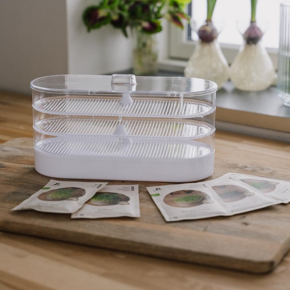 Mikrogröntlådan med groddtorn