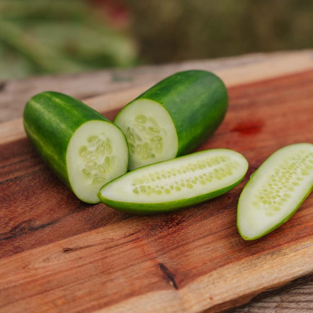 Minigurka 'Kaikura F1' - 5 Ekologiska Frön