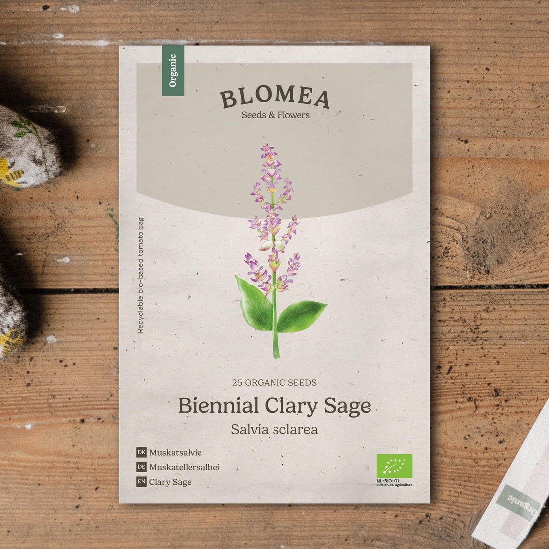 Muskatsalvie frø 'Biennial Clary Sage' - 25 Økologiske Frø