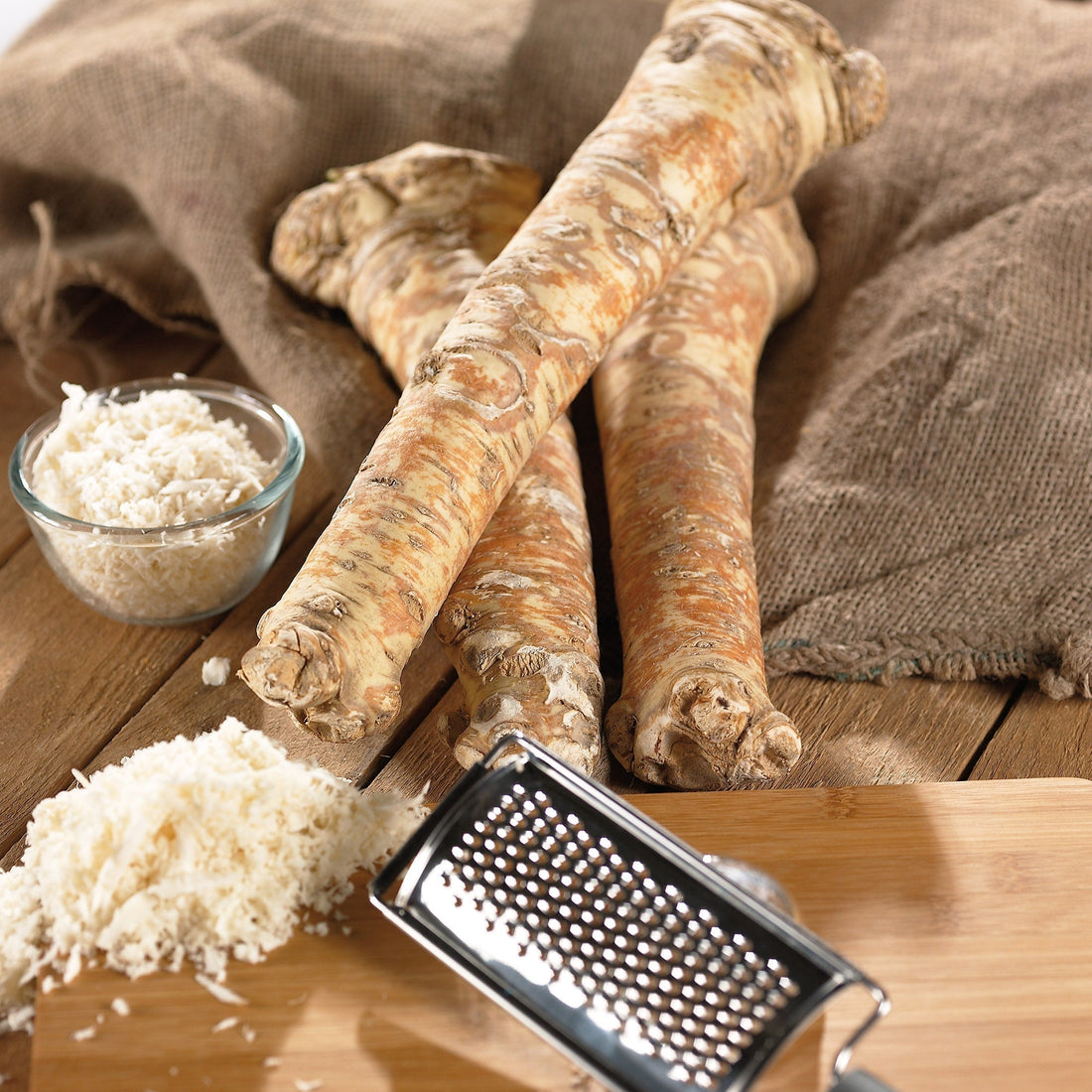 Pepparrot 'Rusticana'