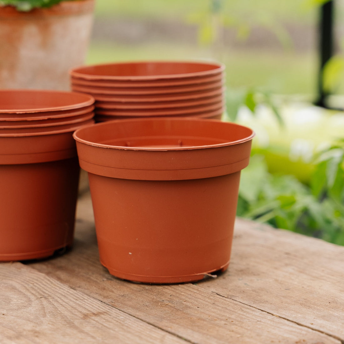 Plantepotter 13 cm, 12 stk.