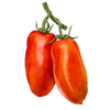 Plommontomat