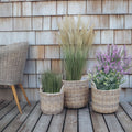 Rattan plantekurve i natur - 3 stk